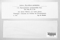 Image Associated With the Occurence
